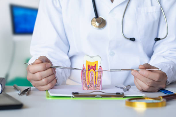 Best Emergency Treatment for Toothache in Cedarburg, WI